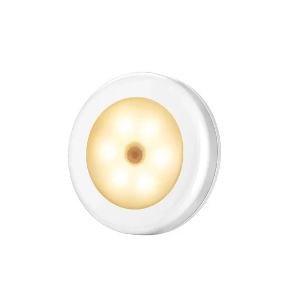 Motion Sensor Light